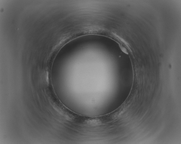 X0000073720067200608171214