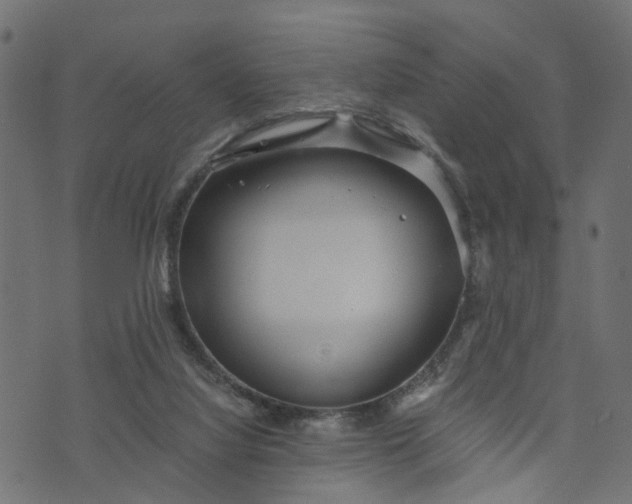 X0000073720068200608171214