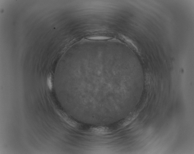 X0000073720069200608171214