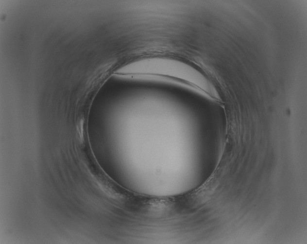 X0000073720070200608171214