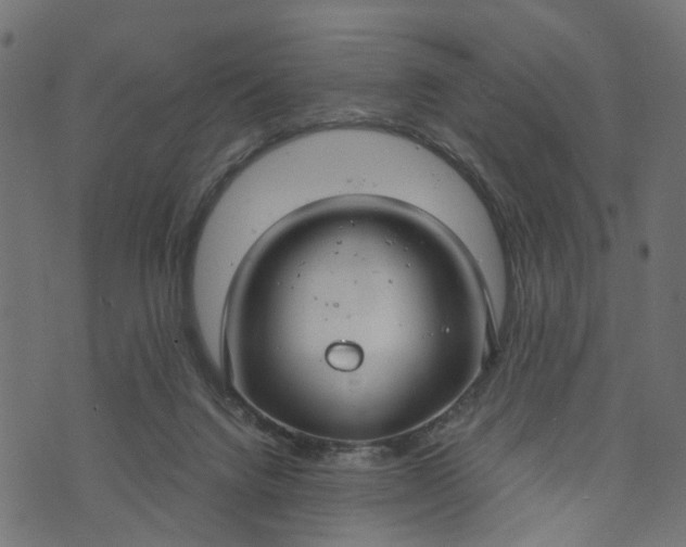 X0000073720072200608171214