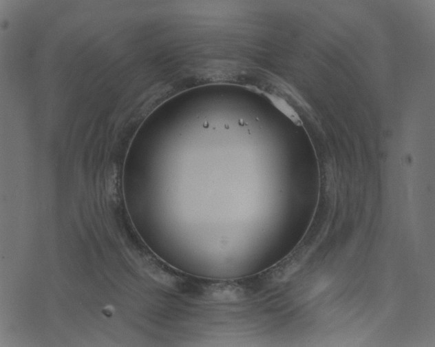 X0000073720073200608171214