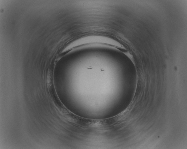 X0000073720074200608171214