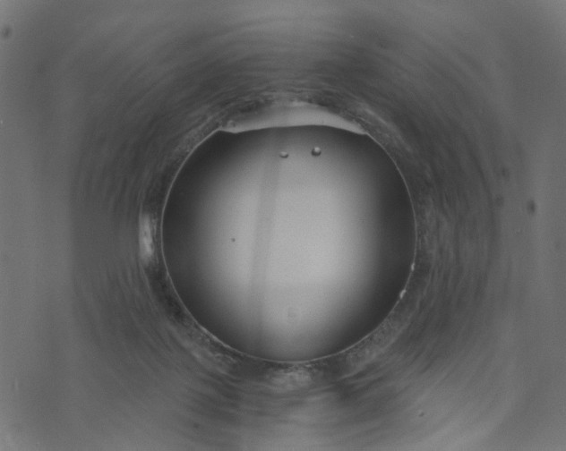 X0000073720075200608171214