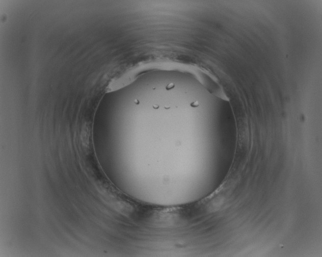 X0000073720078200608171214