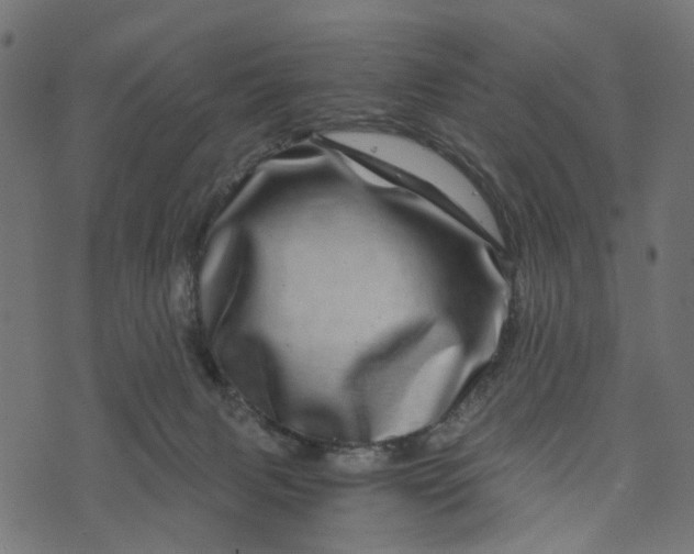 X0000073720079200608171214