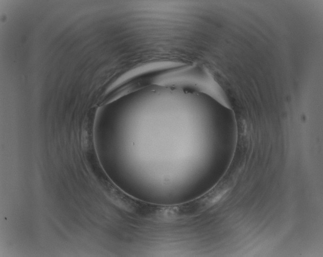 X0000073720080200608171214