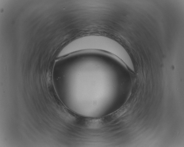 X0000073720081200608171214