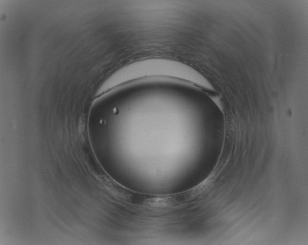 X0000073720082200608171214