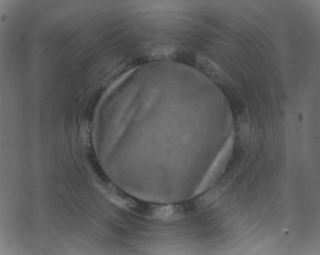 X0000073720083200608171214