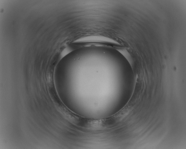 X0000073720084200608171214