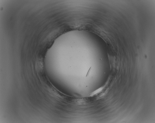 X0000073720085200608171214