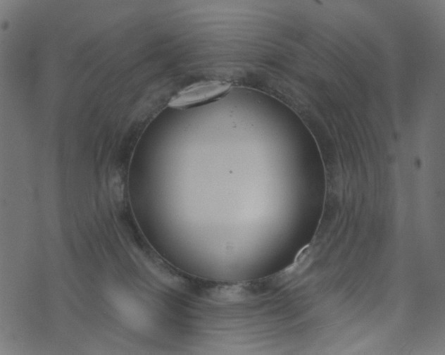 X0000073720086200608171214