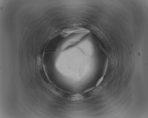 X0000073720087200608171214