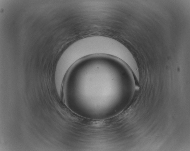 X0000073720088200608171214