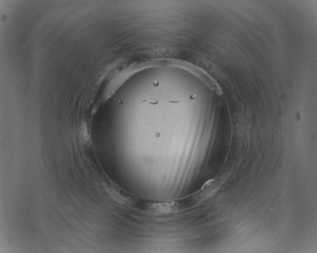 X0000073720089200608171214