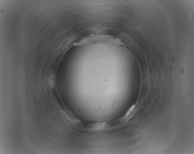 X0000073720090200608171214