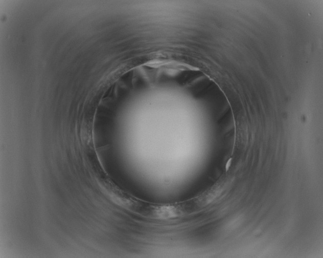 X0000073720091200608171214