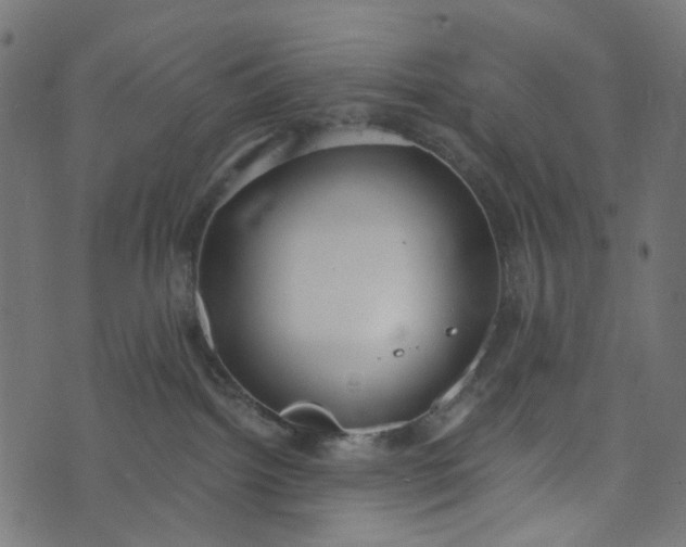 X0000073720092200608171214