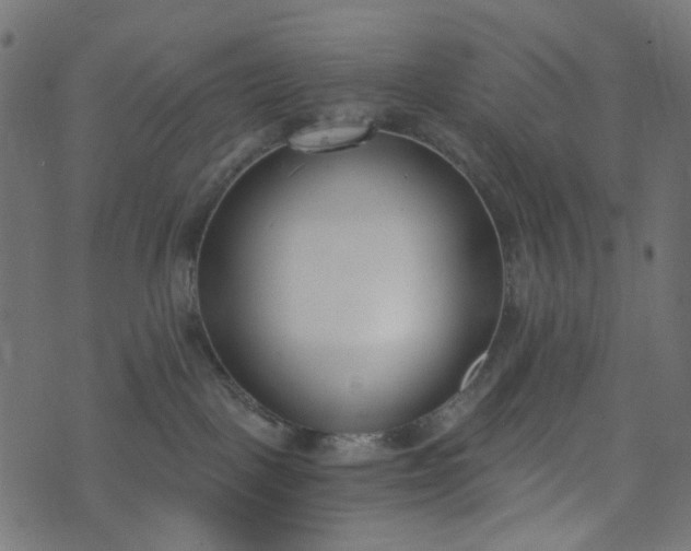 X0000073720093200608171214