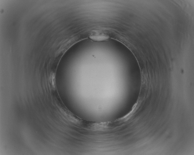 X0000073720094200608171214