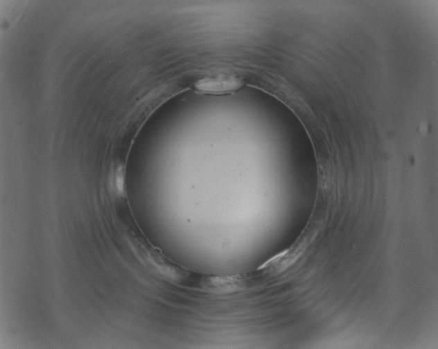 X0000073720095200608171214