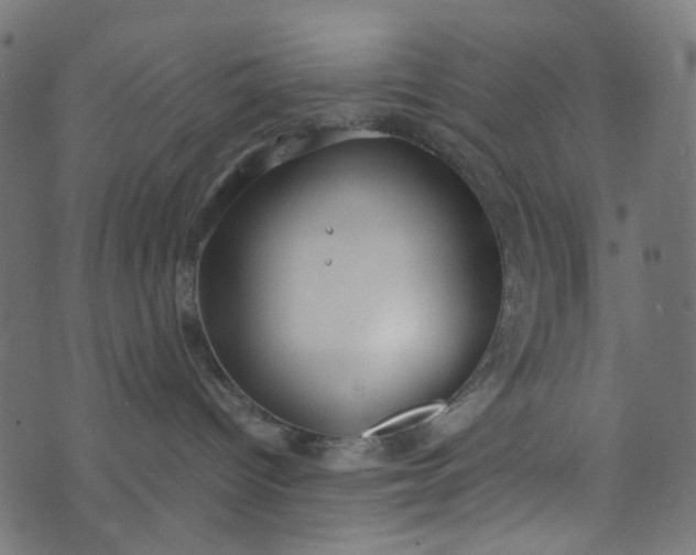 X0000073720096200608171214