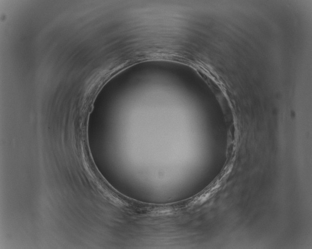 X0000073720097200608171214