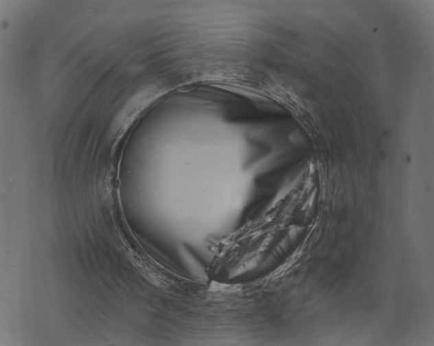 X0000073720098200608171214