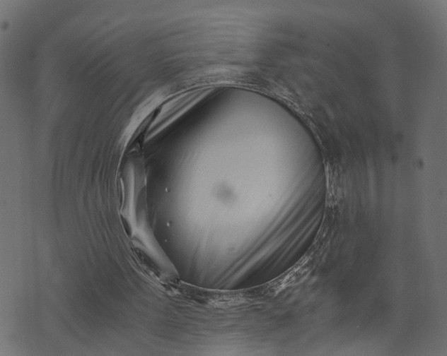 X0000073720099200608171214