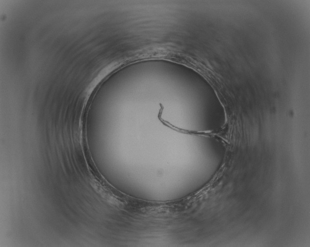 X0000073720100200608171214