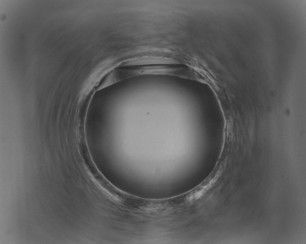 X0000073720101200608171214