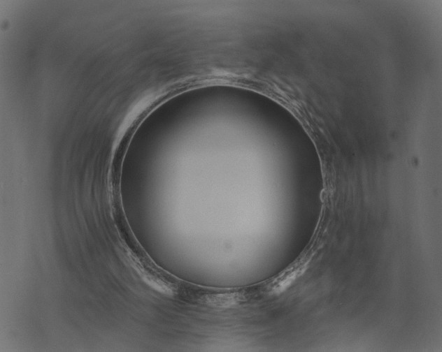 X0000073720102200608171213