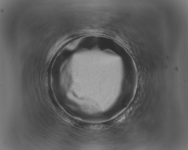 X0000073720103200608171213