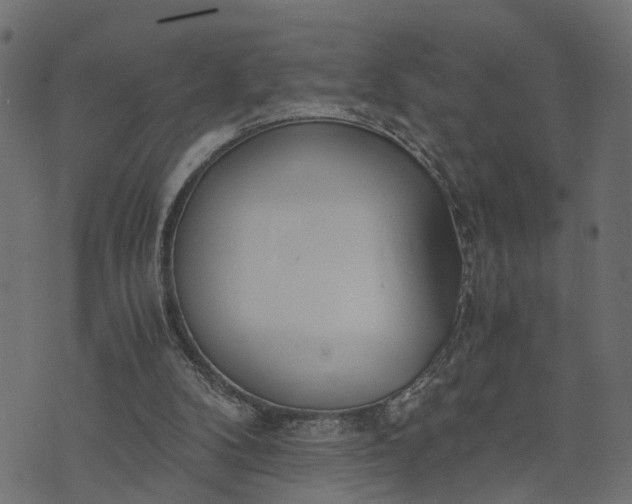 X0000073720104200608171213