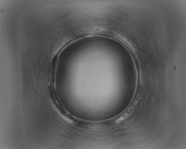 X0000073720105200608171213