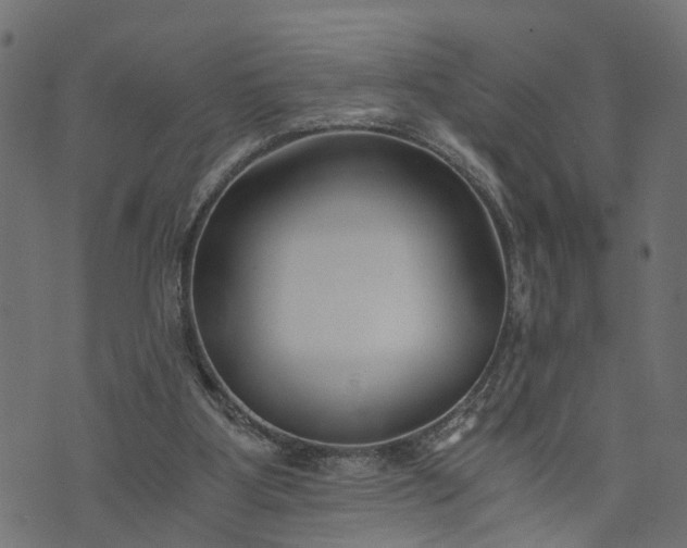 X0000073720107200608171213