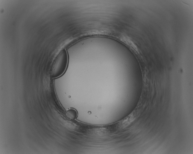 X0000073720108200608171213