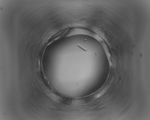 X0000073720109200608171213