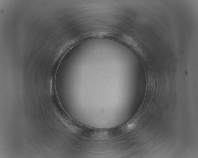 X0000073720110200608171213