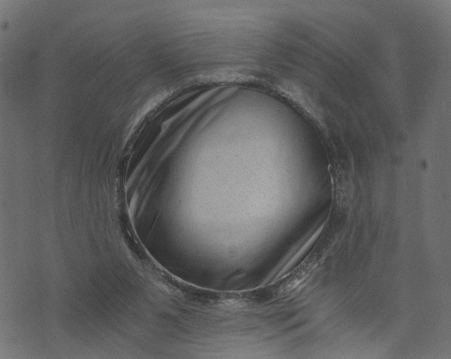 X0000073720111200608171213