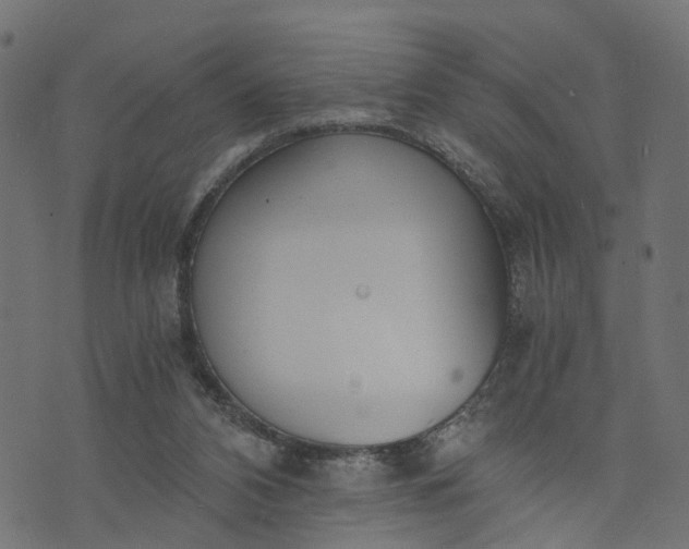 X0000073720112200608171213