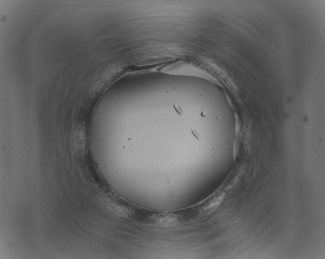 X0000073720113200608171213