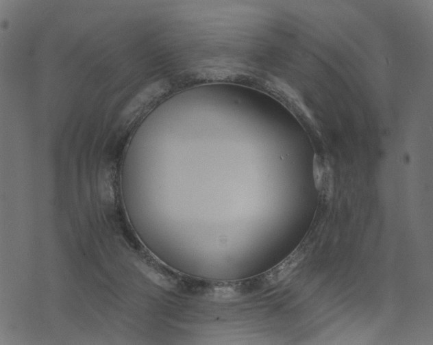 X0000073720114200608171213