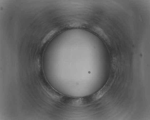 X0000073720116200608171213