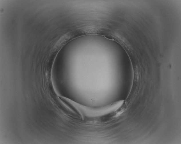 X0000073720117200608171213