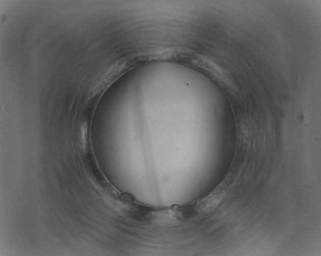 X0000073720118200608171213