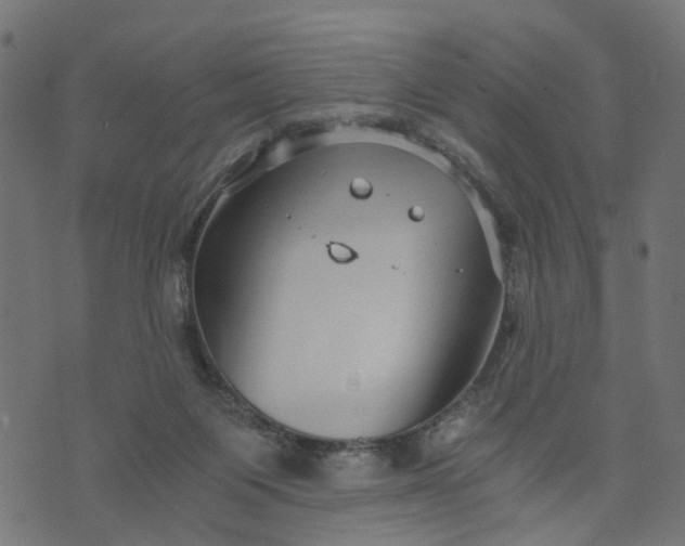 X0000073720119200608171213