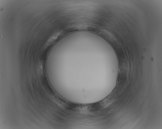 X0000073720120200608171213