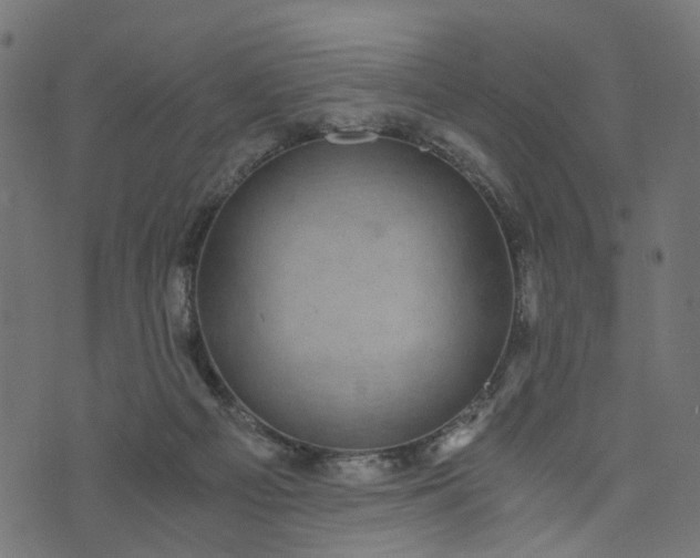 X0000073720121200608171213